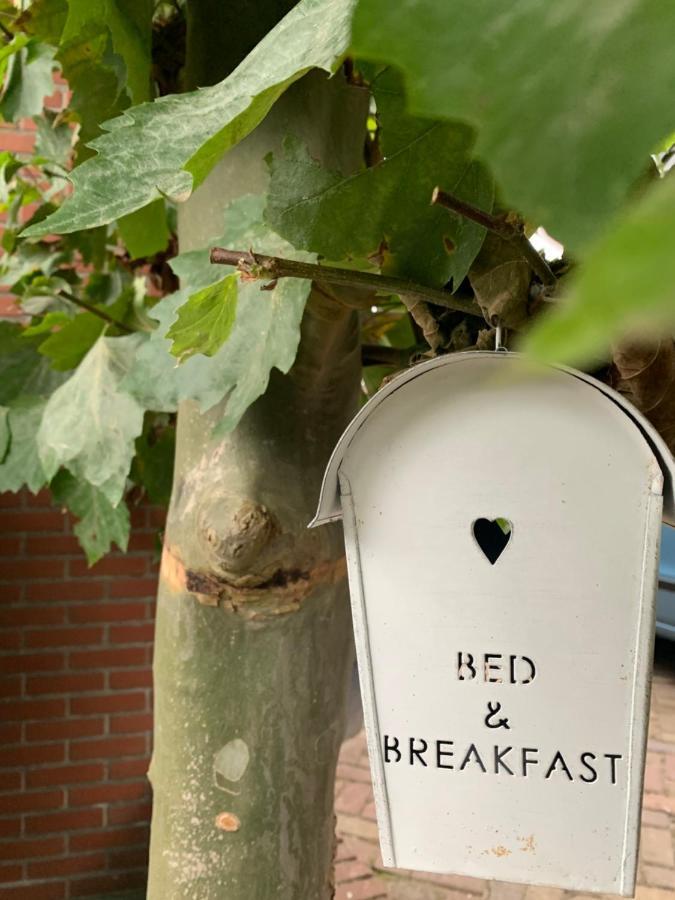 Bed & Breakfast "Aan De Banis" レイッセン エクステリア 写真